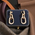 Taşlı Vip Küpe - Görsel 2