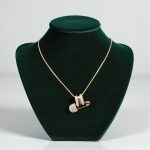 Taşlı Çengelli İğne Detaylı Kolye